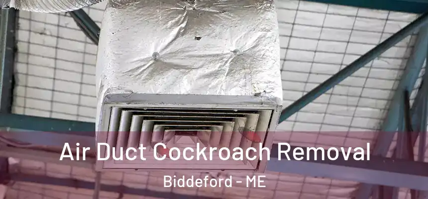 Air Duct Cockroach Removal Biddeford - ME