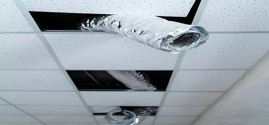 Our Air Duct Pet Hair Removal Services in Biddeford, ME