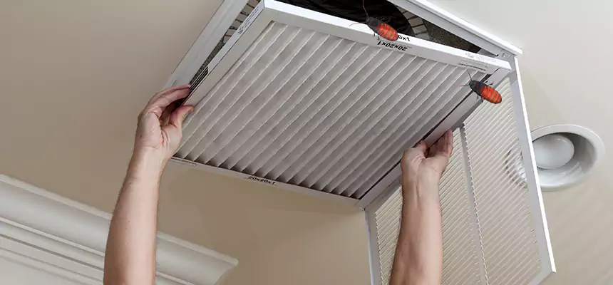 Our Insect Removal from Air Ducts Services in Biddeford, ME