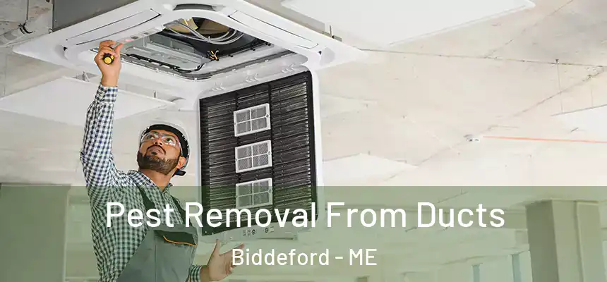  Pest Removal From Ducts Biddeford - ME