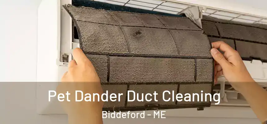 Pet Dander Duct Cleaning Biddeford - ME