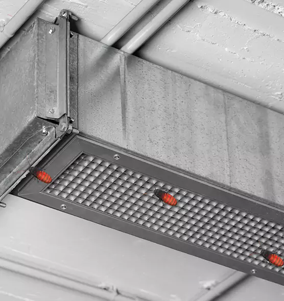 About Air Duct Cockroach Removal in Biddeford, ME