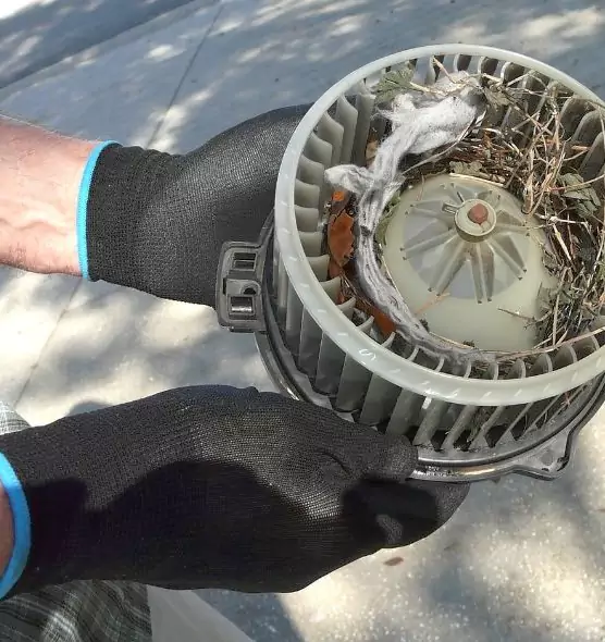 About Air Duct Rat Removal in Biddeford, ME