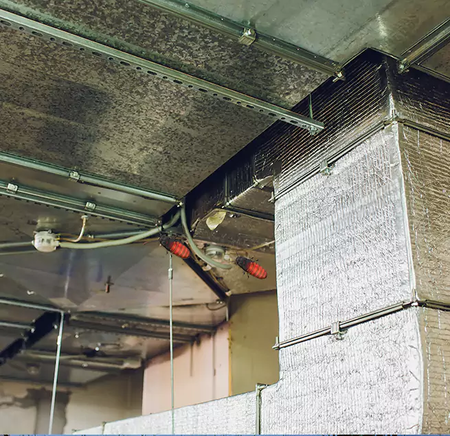 Why Homeowners & Businesses Trust Us in Biddeford, ME?