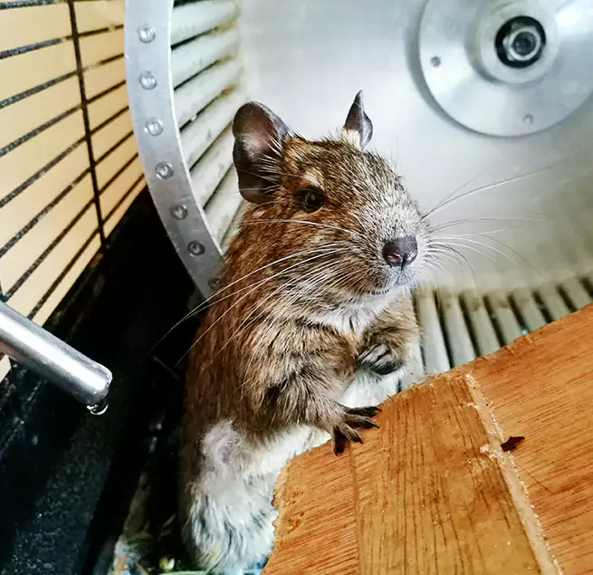 Why Homeowners & Businesses Trust Us Biddeford, ME