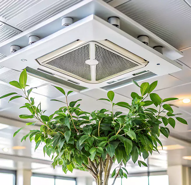 Why Homeowners & Businesses Trust Us in Biddeford, ME?